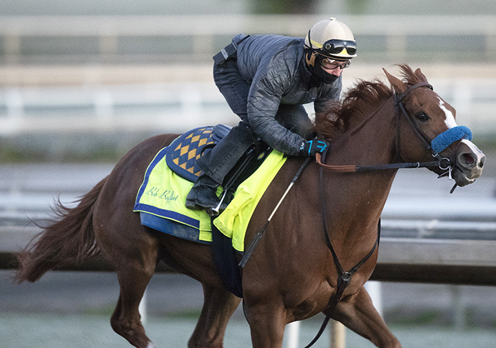 Chasing Yesterday trains at Santa Anita on Feb. 8