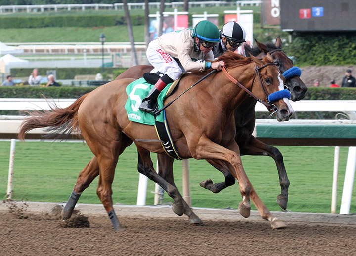 Chasing Yesterday wins the 2018 Anoakia Stakes