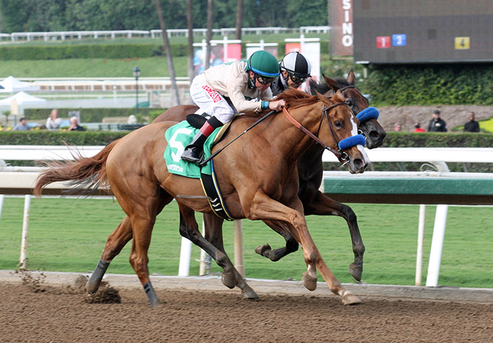 Chasing Yesterday wins the 2018 Anoakia Stakes