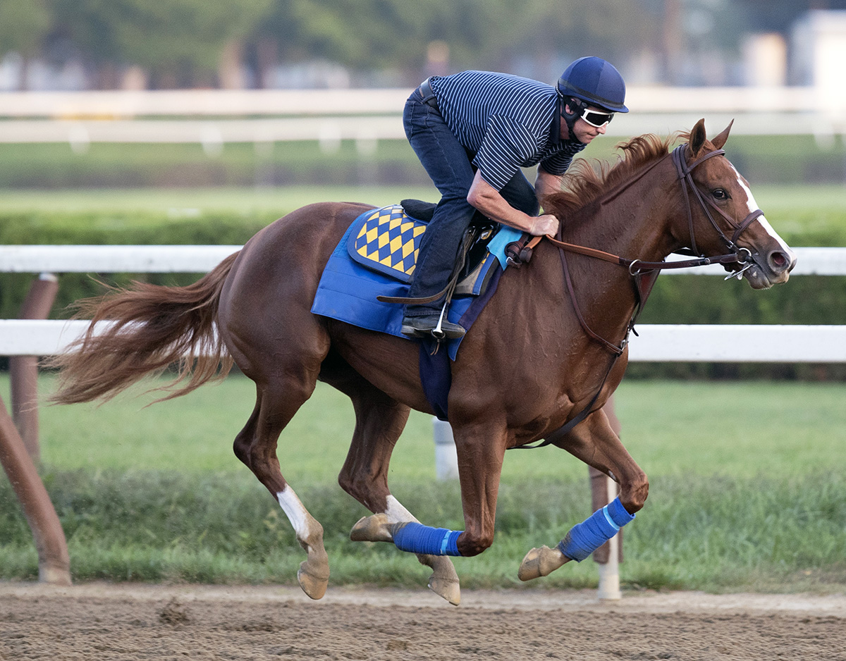 Chasing Yesterday trains at Saratoga on Aug. 29