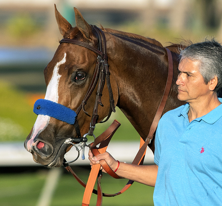 Chasing Yesterday with groom Eduardo Luna