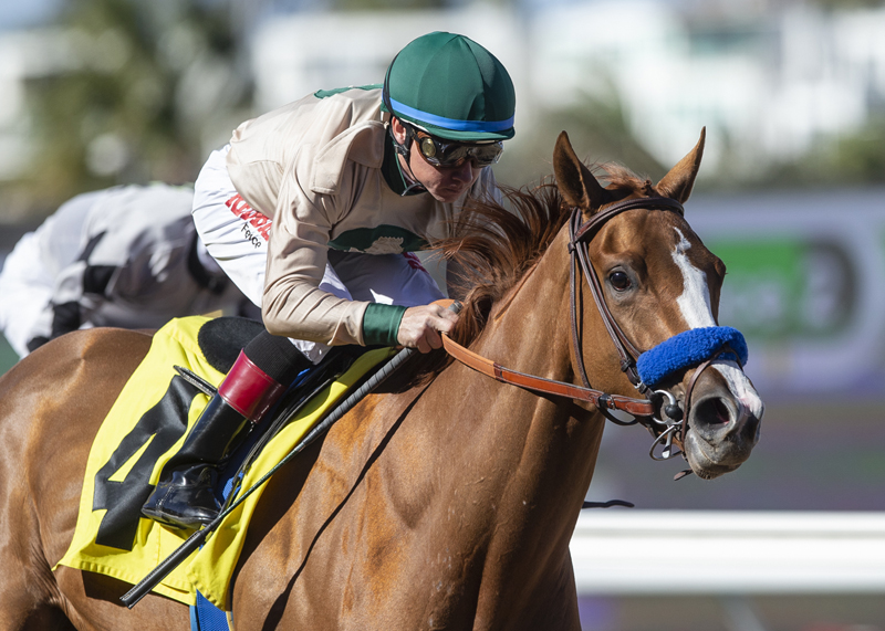 Chasing Yesterday wins the 2018 Desi Arnaz Stakes
