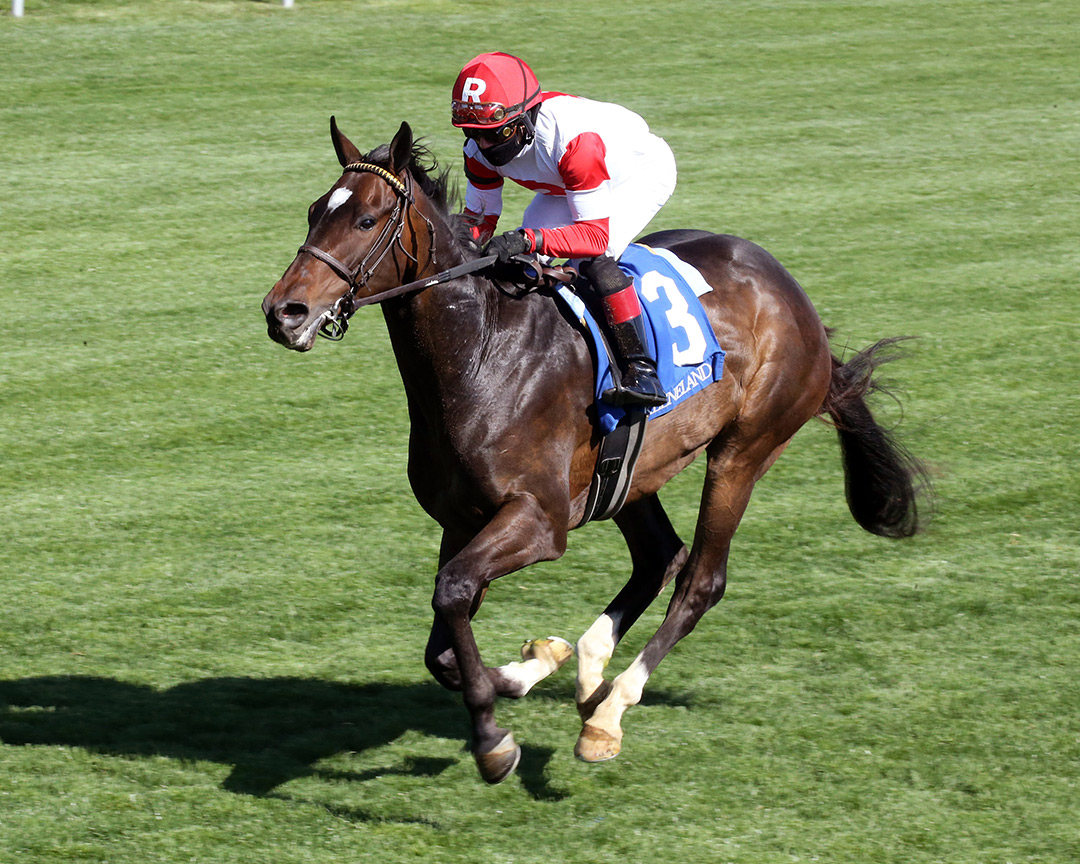 Chasing Artie wins the 2021 Palisades Turf Sprint Stakes at Keeneland