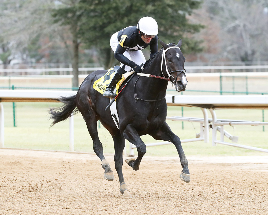 Chasing Time wins a Jan. 14 allowance at Oaklawn