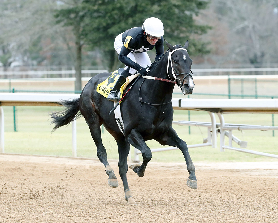 Chasing Time wins a Jan. 14 allowance at Oaklawn