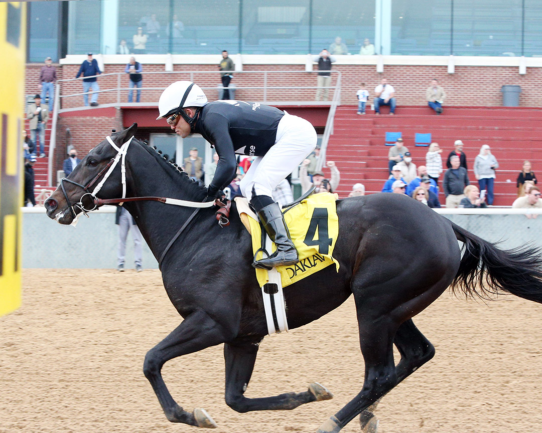 Chasing Time wins a Jan. 14 allowance at Oaklawn Park