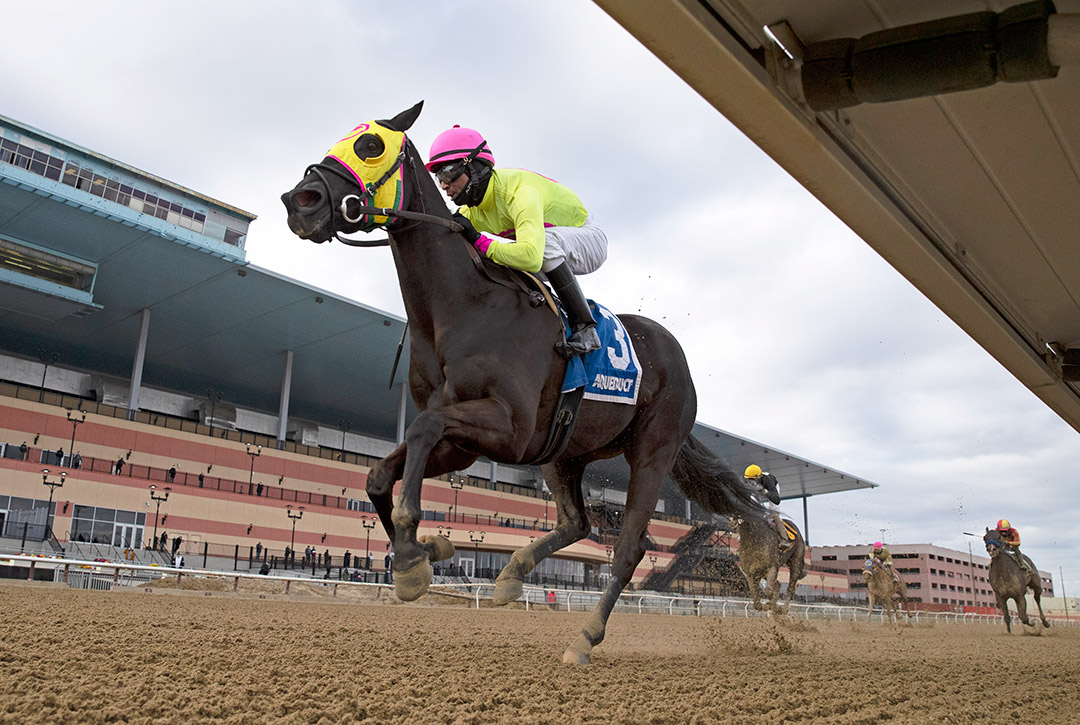 Chateau wins the 2021 Tom Fool Handicap at Aqueduct