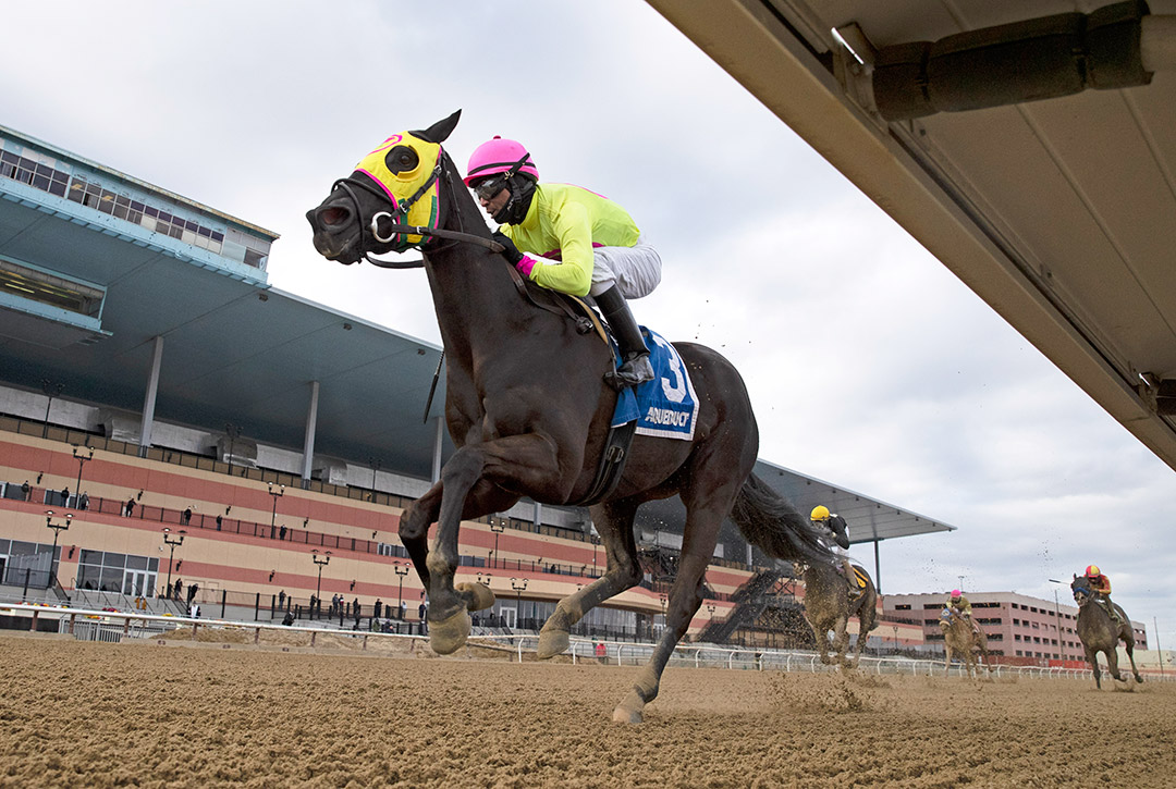 Chateau wins the 2021 Tom Fool Handicap at Aqueduct