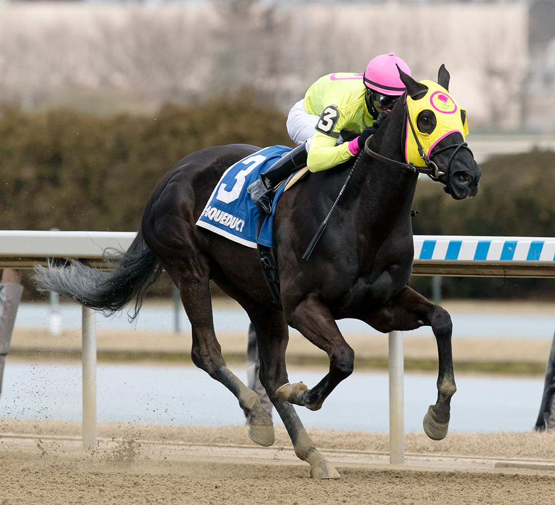 Chateau wins the 2021 Tom Fool Handicap at Aqueduct