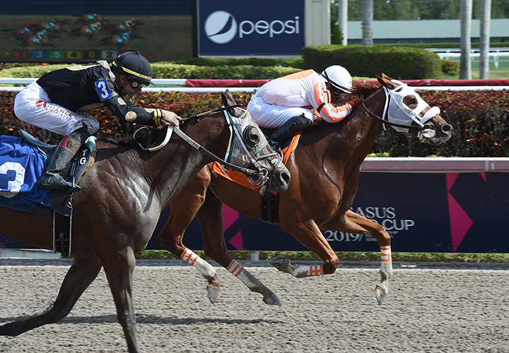 Chatiment wins a Feb. 1 optional claiming race