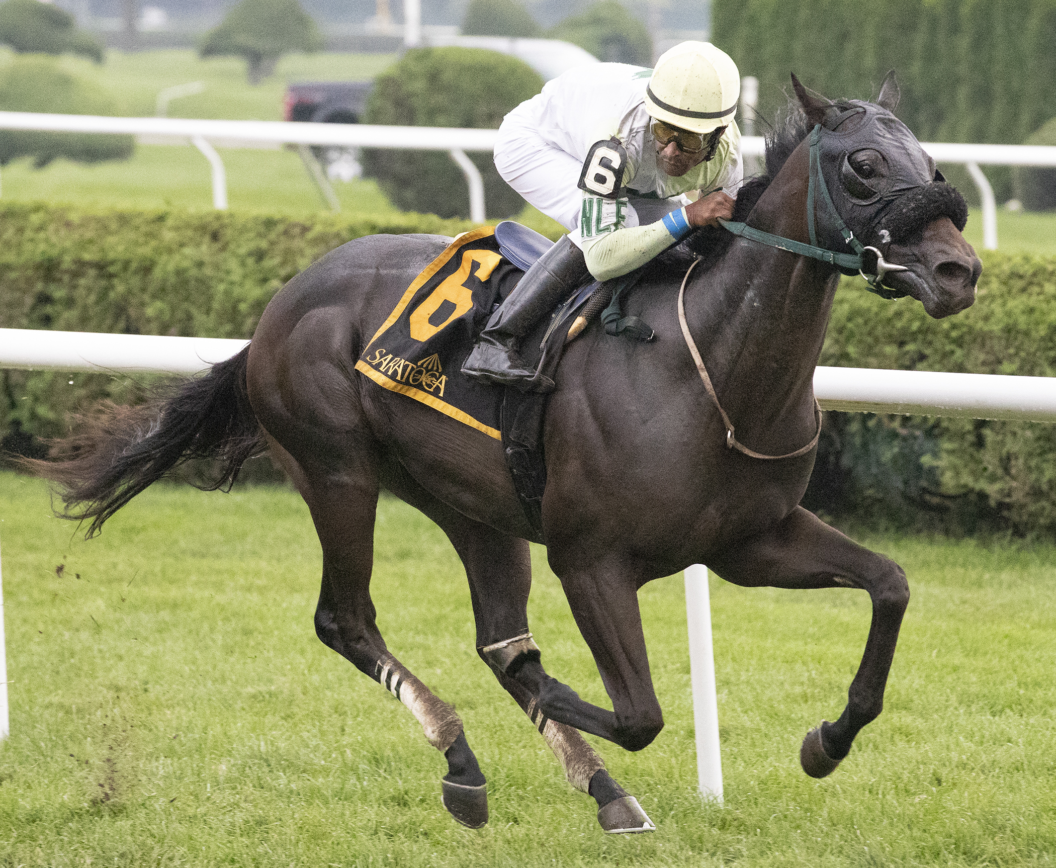 Chattel wins 2018 Skidmore