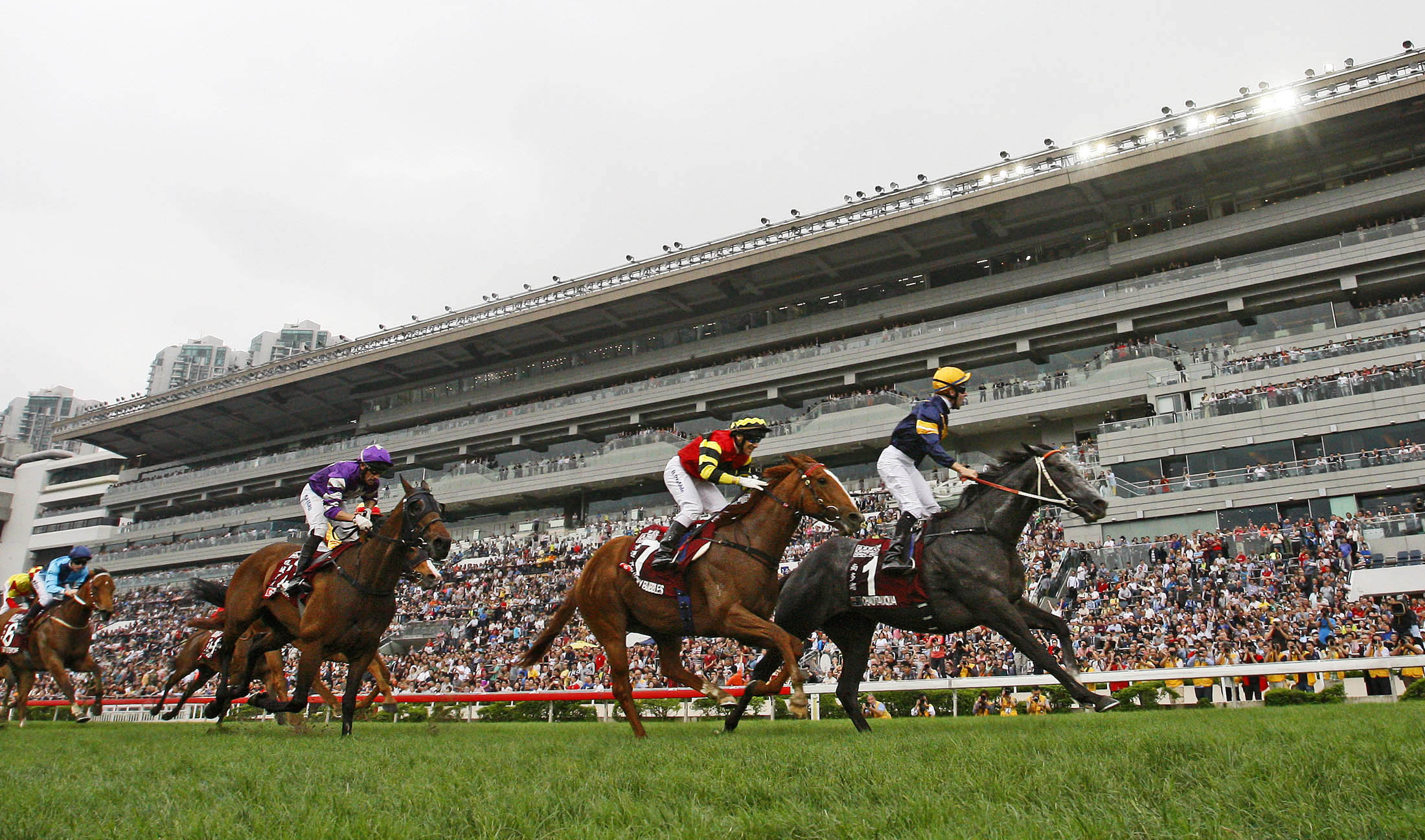 Chautauqua wins the Chairman's Sprint Prize