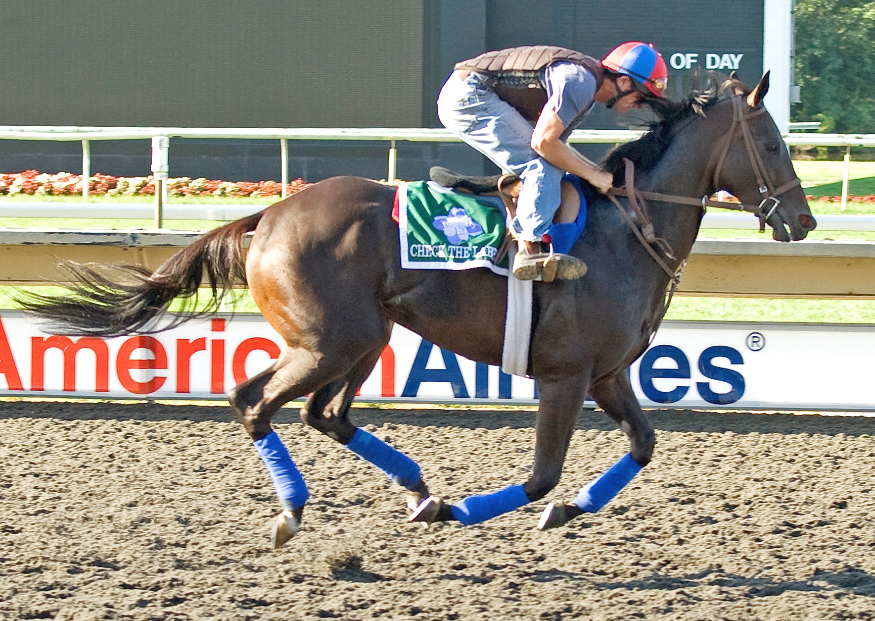 Check the Label, August workout at Arlington