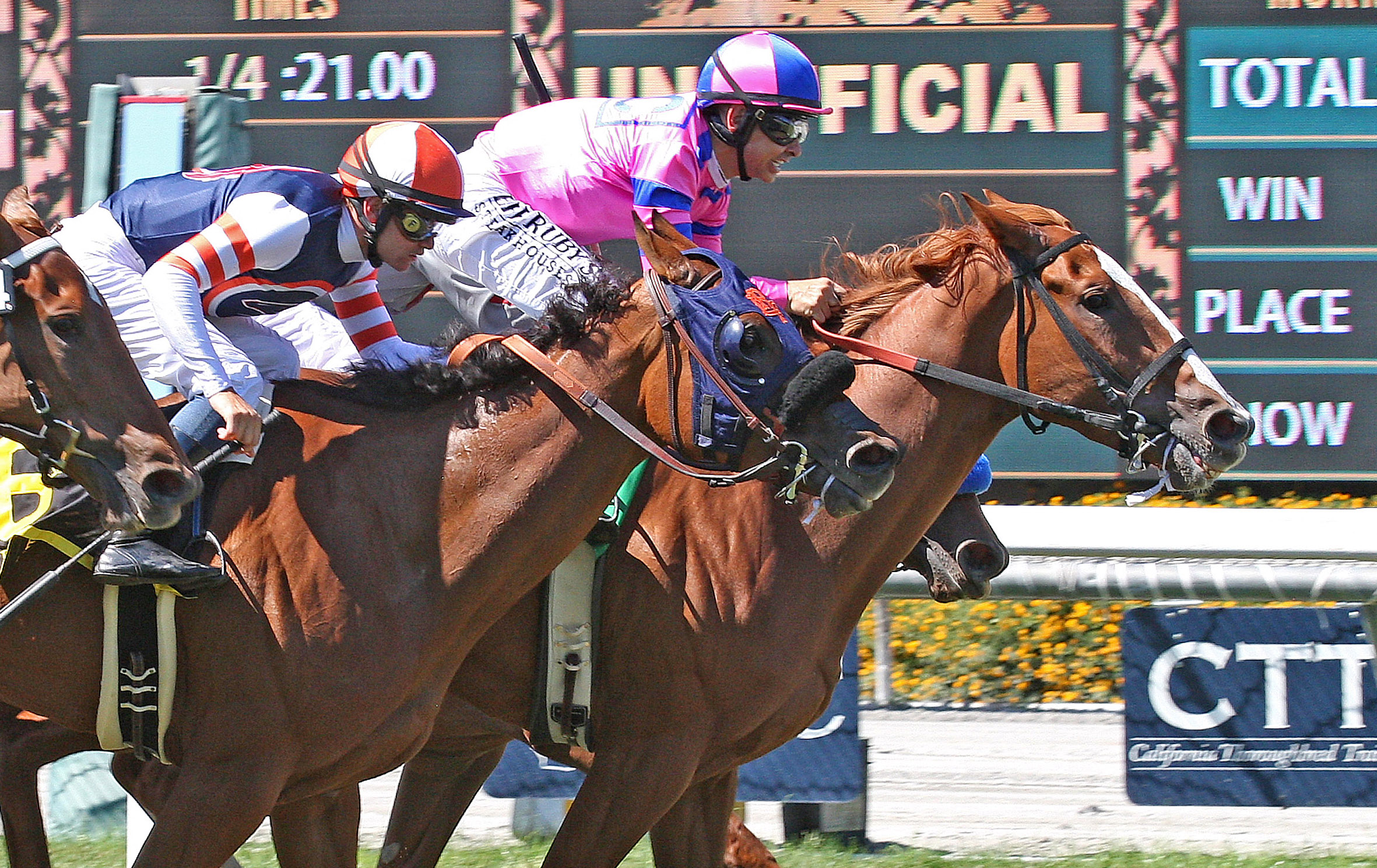 Cheekaboo wins the 2016 Honeymoon Stakes