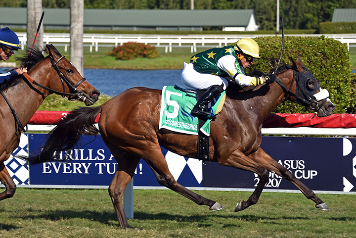 Cheermeister wins the 2020 Herecomesthebride Stakes at Gulfstream Park