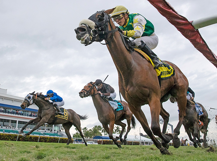 Cheermeister wins the 2020 Sweetest Chant Stakes at Gulfstream Park
