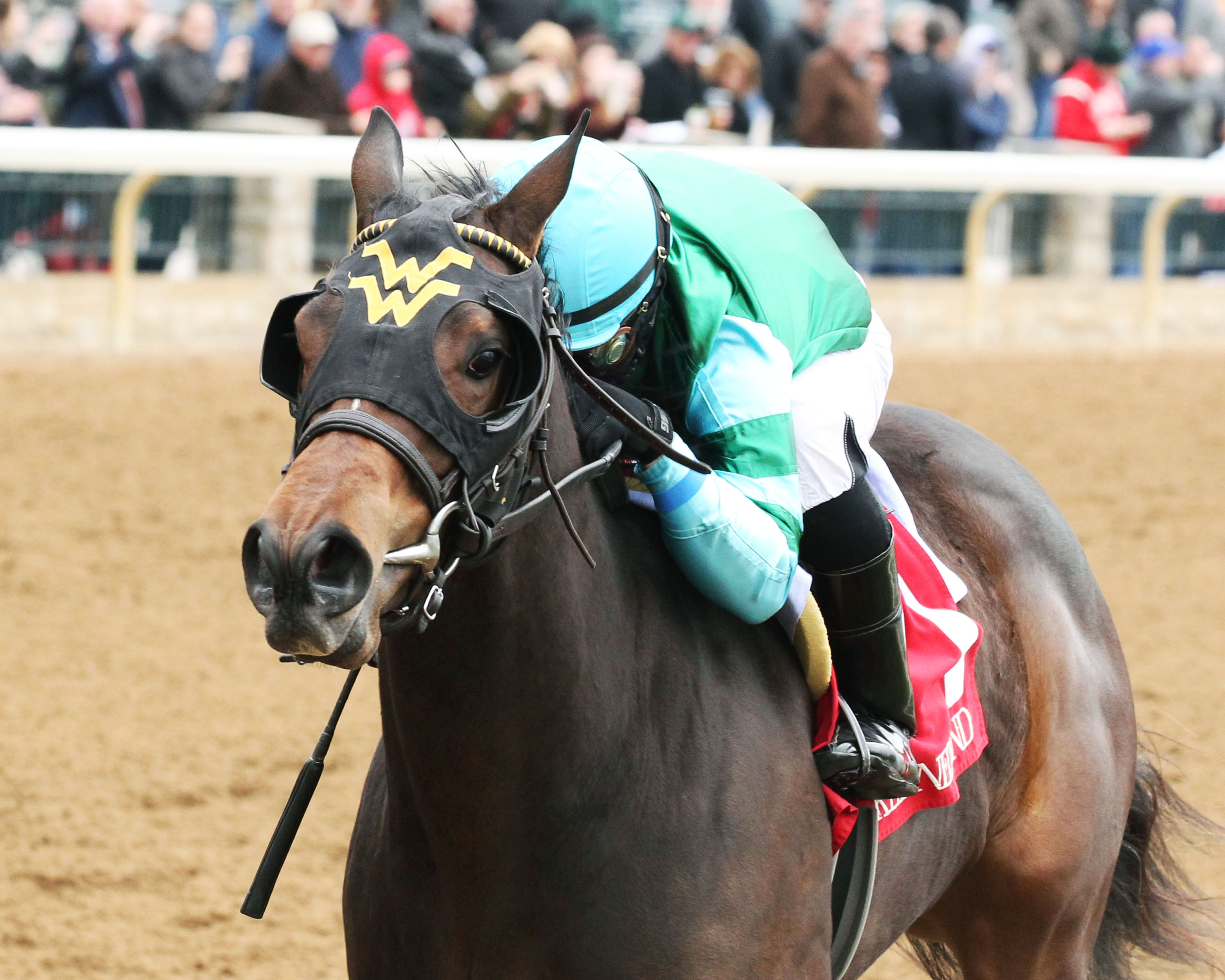 Chelsea Cloisters wins an April 19 maiden race