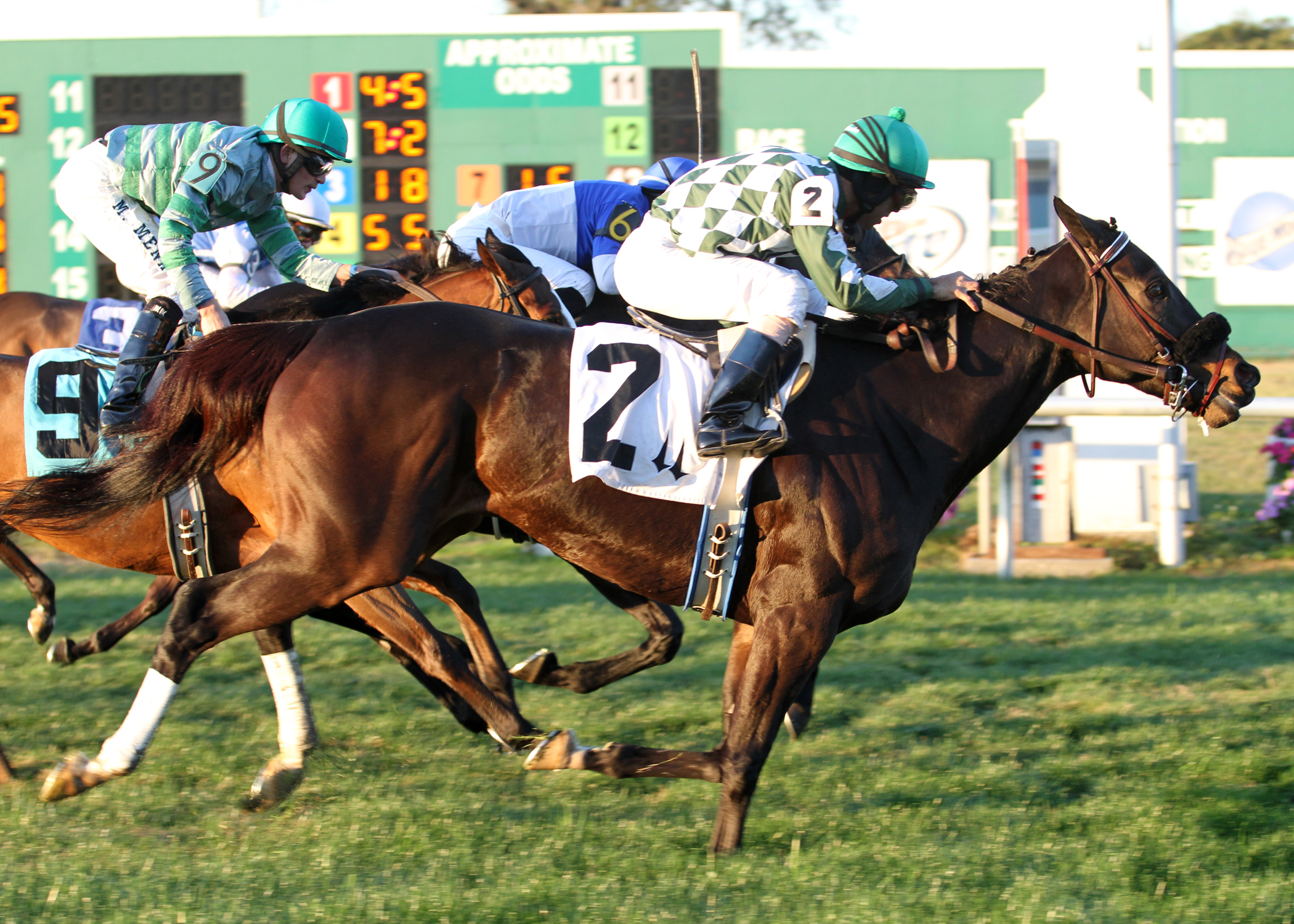 Cherokee Queen/Blushing K.D. Handicap