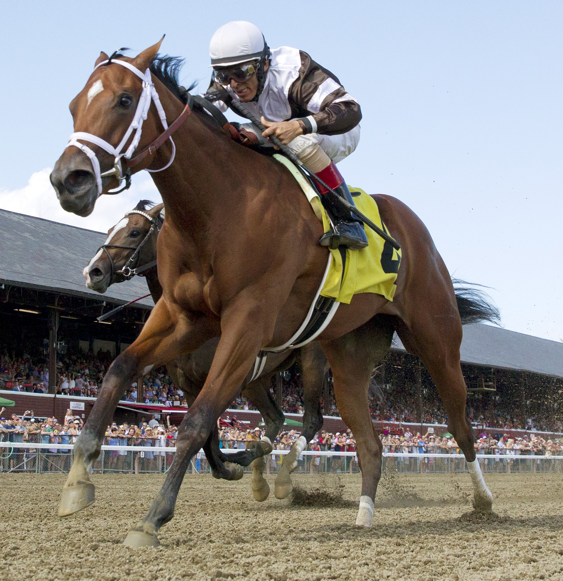 Cherry Lodge wins a maiden race on Aug. 7, 2016