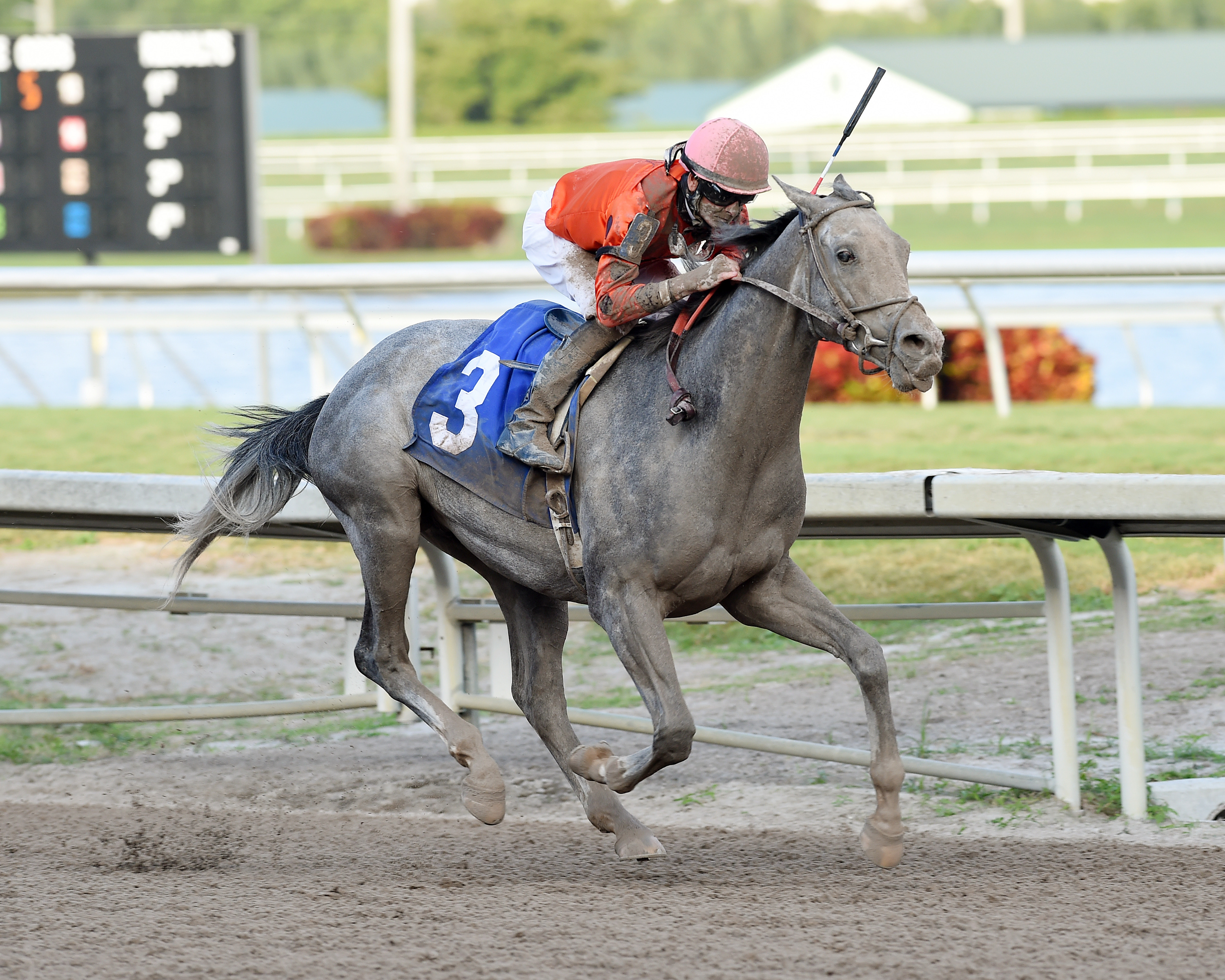 Cherry Wine wins an optional claimer