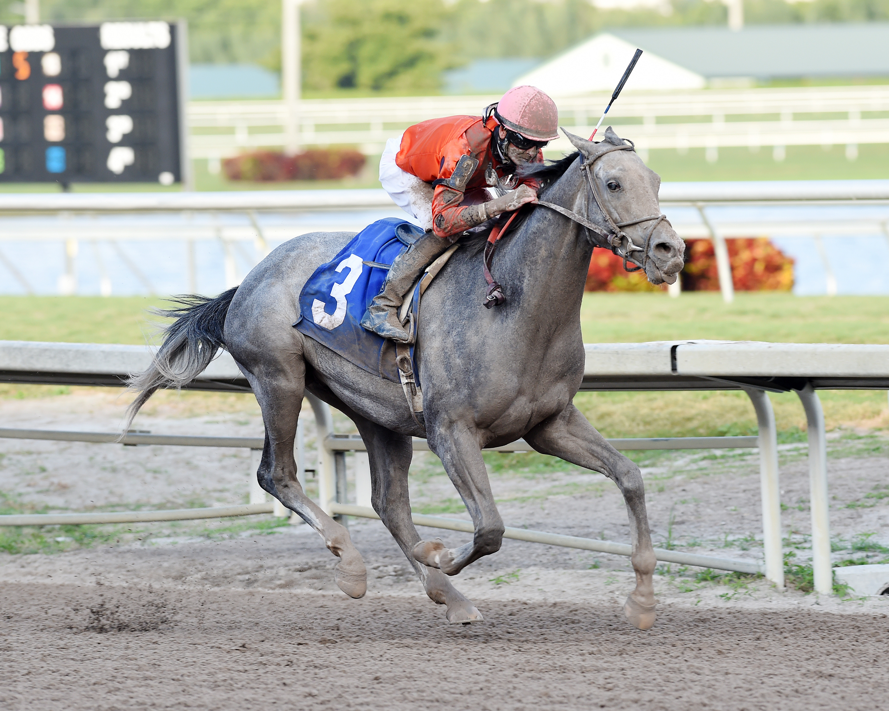 Cherry Wine wins an optional claimer