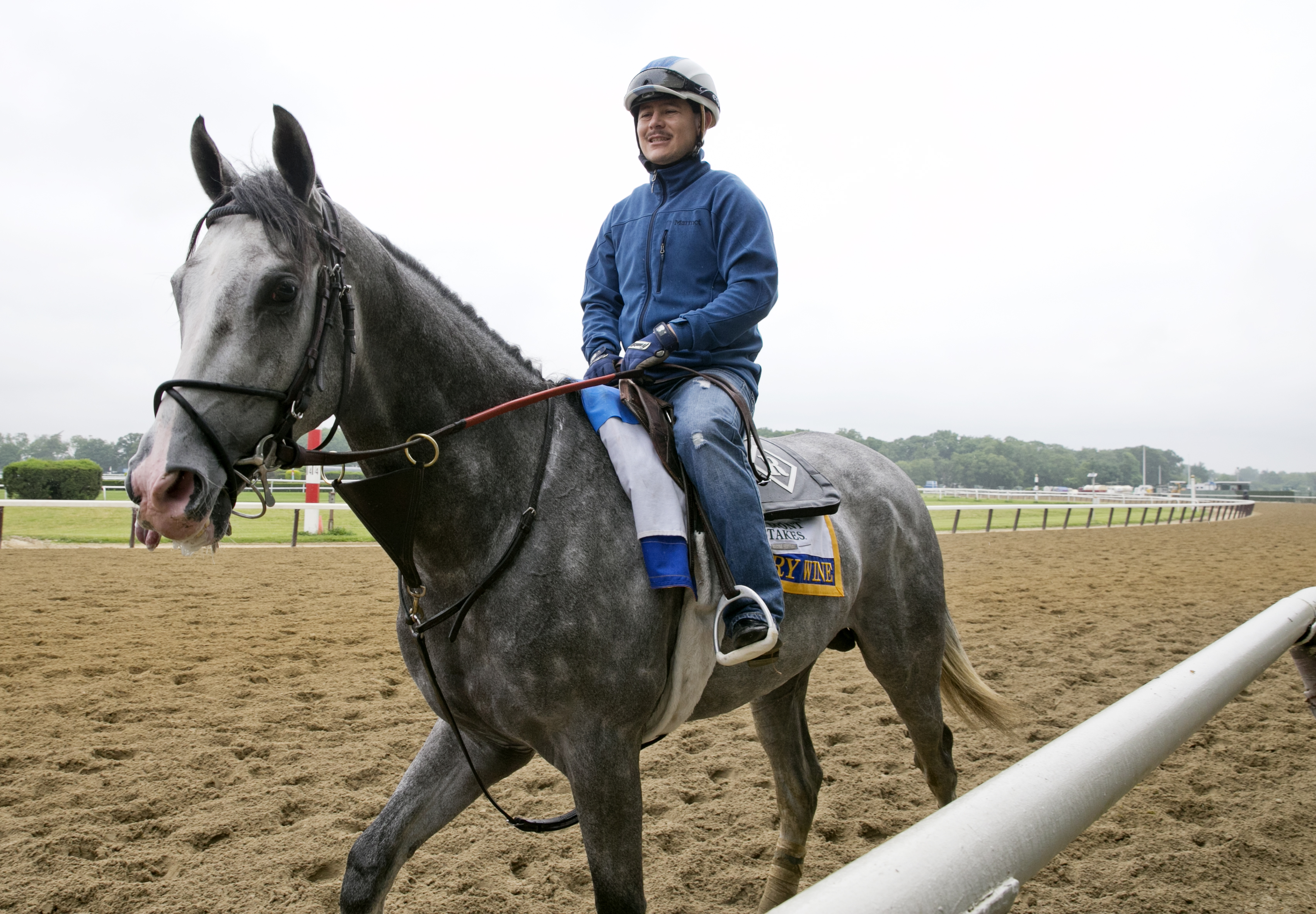 Cherry Wine at Belmont Park in June