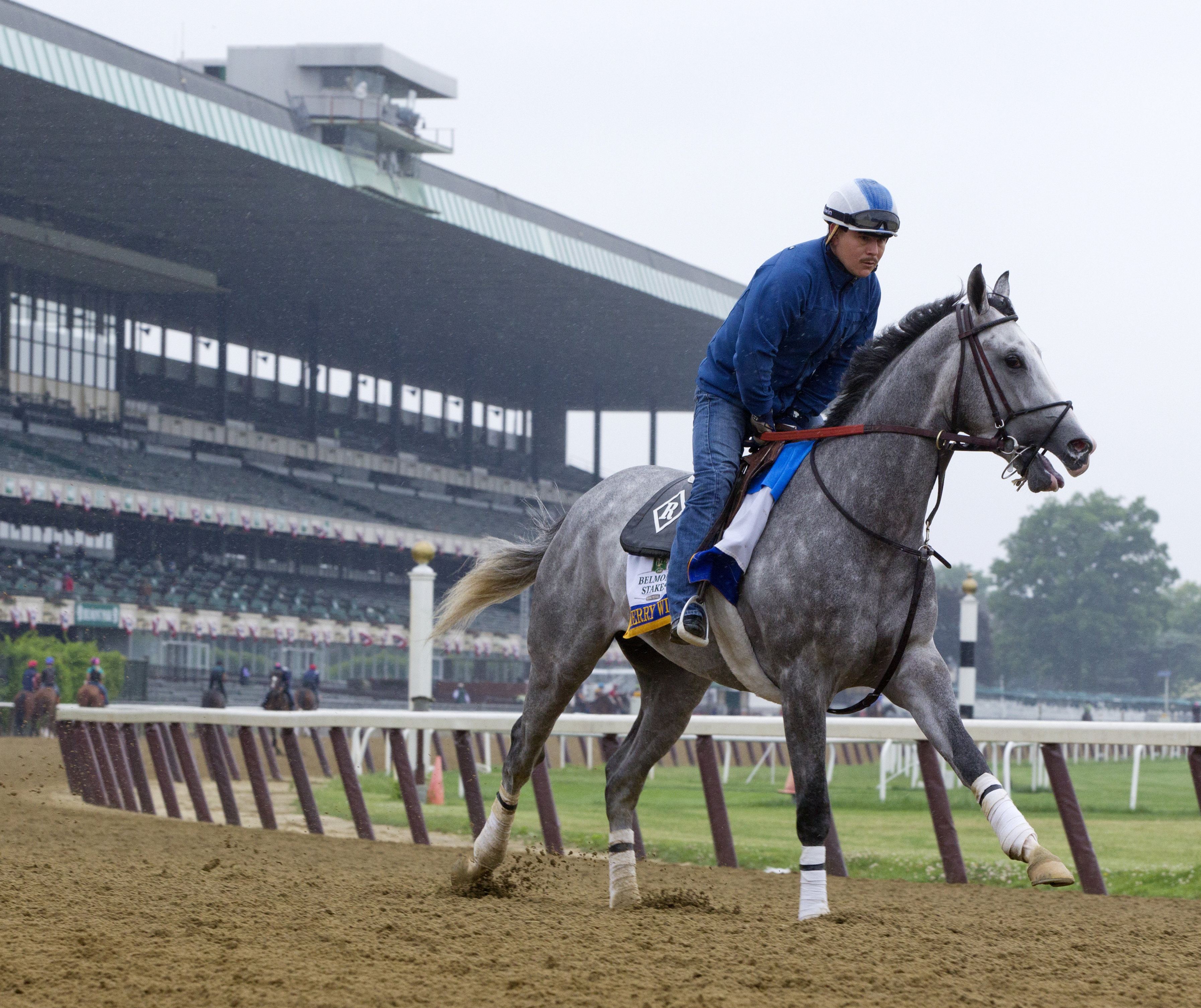 Cherry Wine trains at Belmont Park on June 3