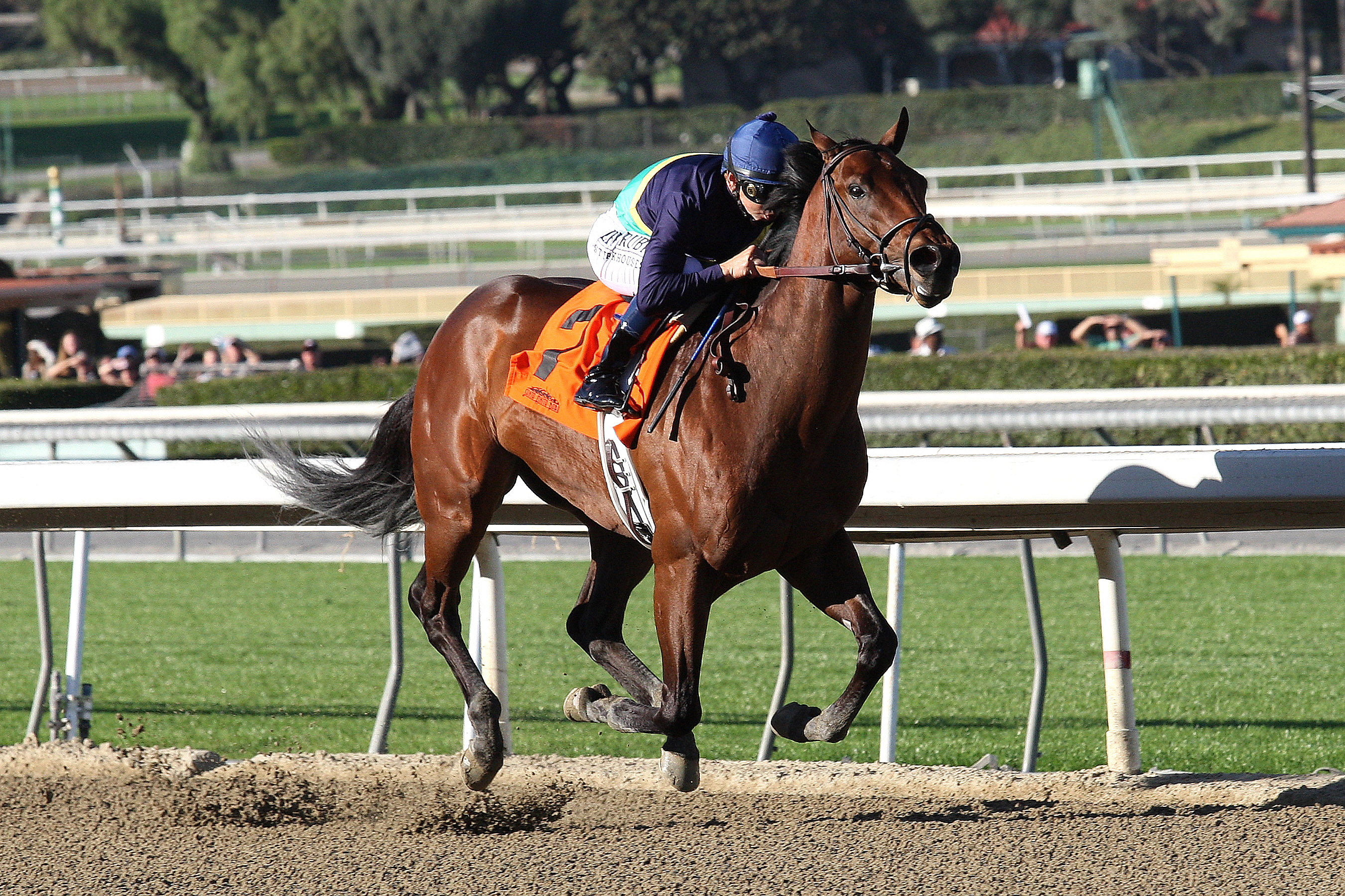 Cherubim wins a maiden race
