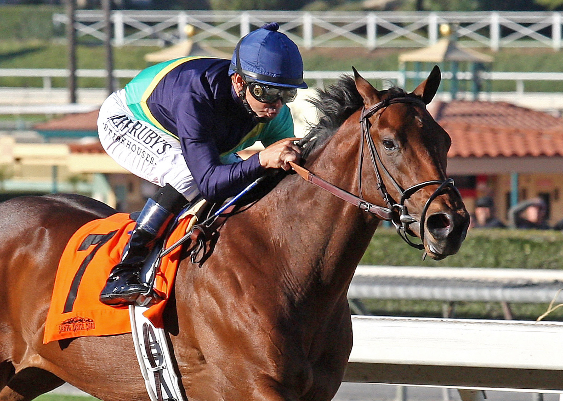 Cherubim wins a maiden race