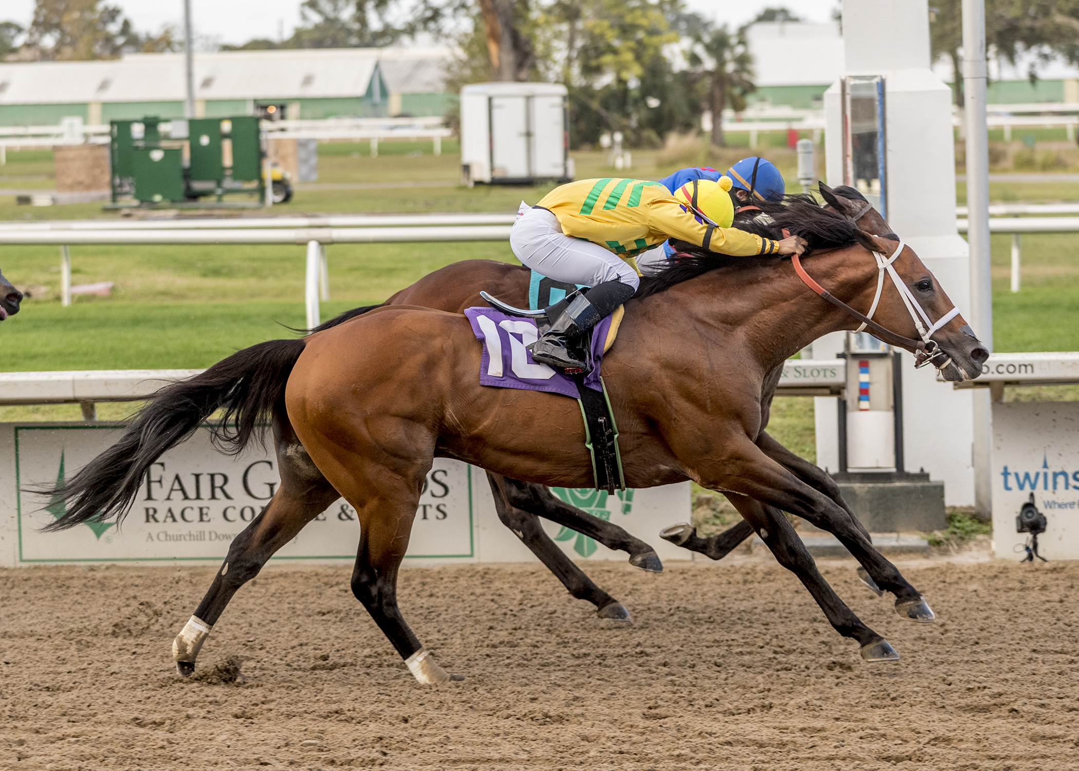 Chess Chief (10) wins Tenacious Stakes 12-26-2021