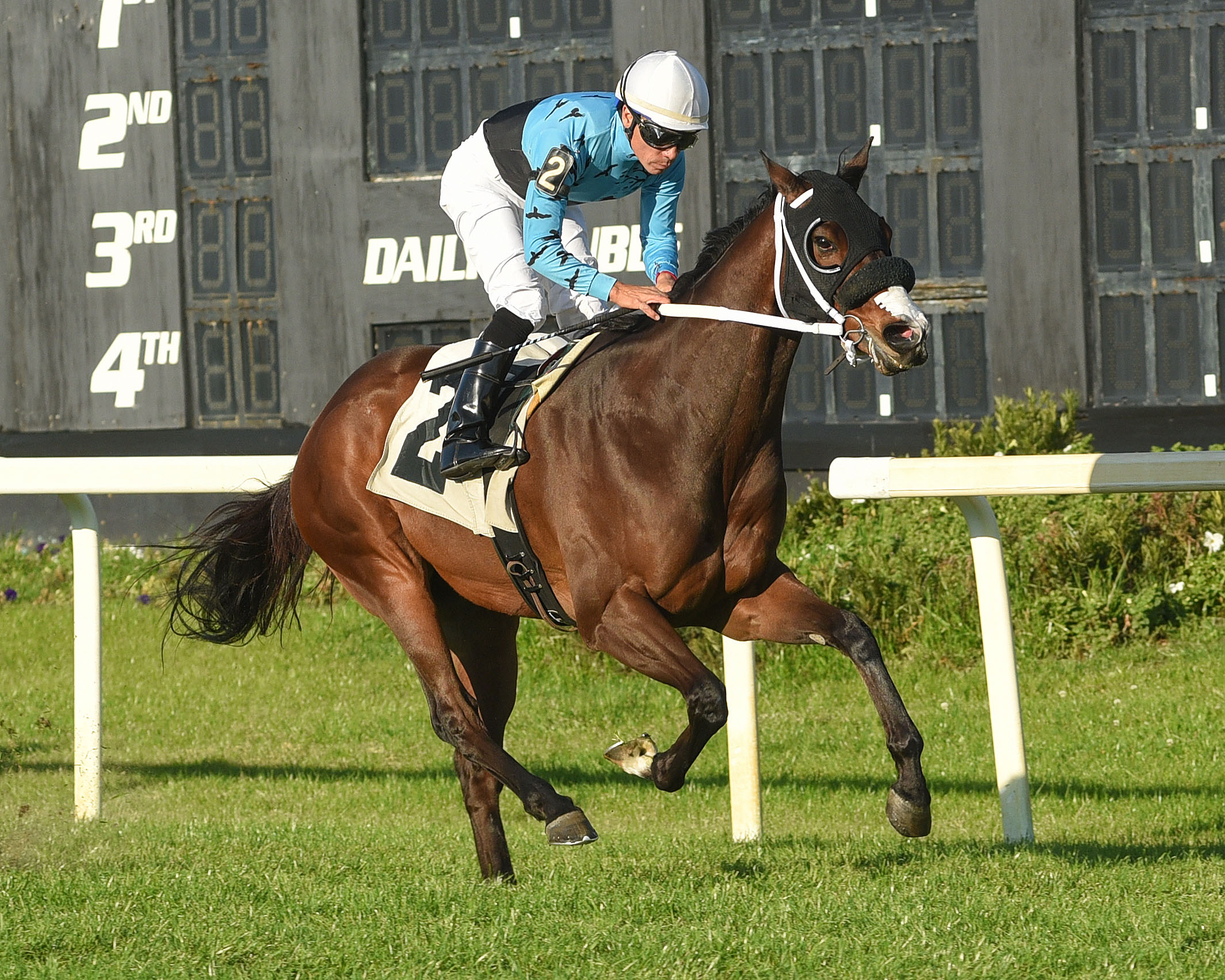 Chess Master, Turf Dash