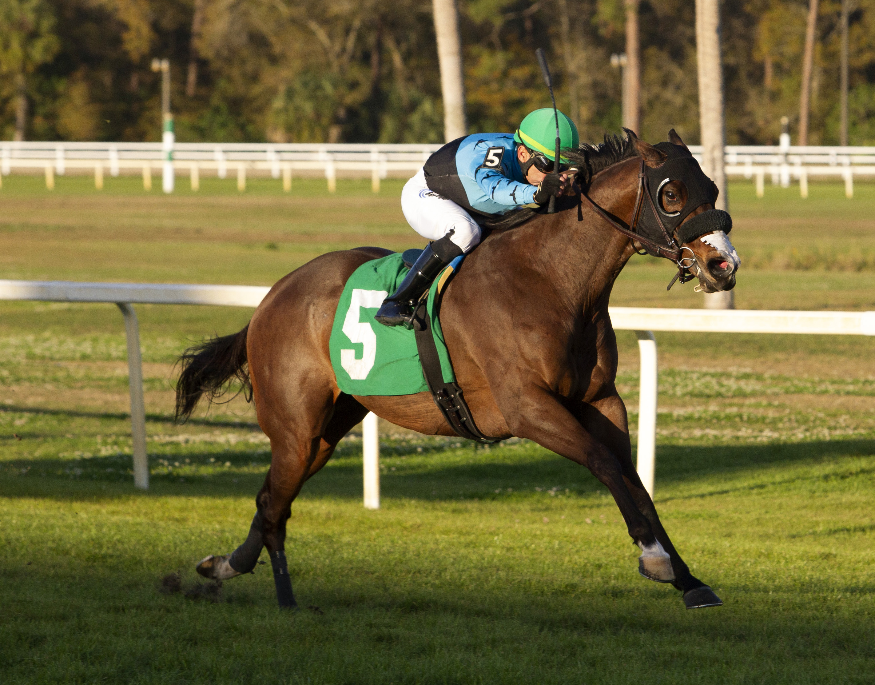 Chess Master/Tampa Turf Dash