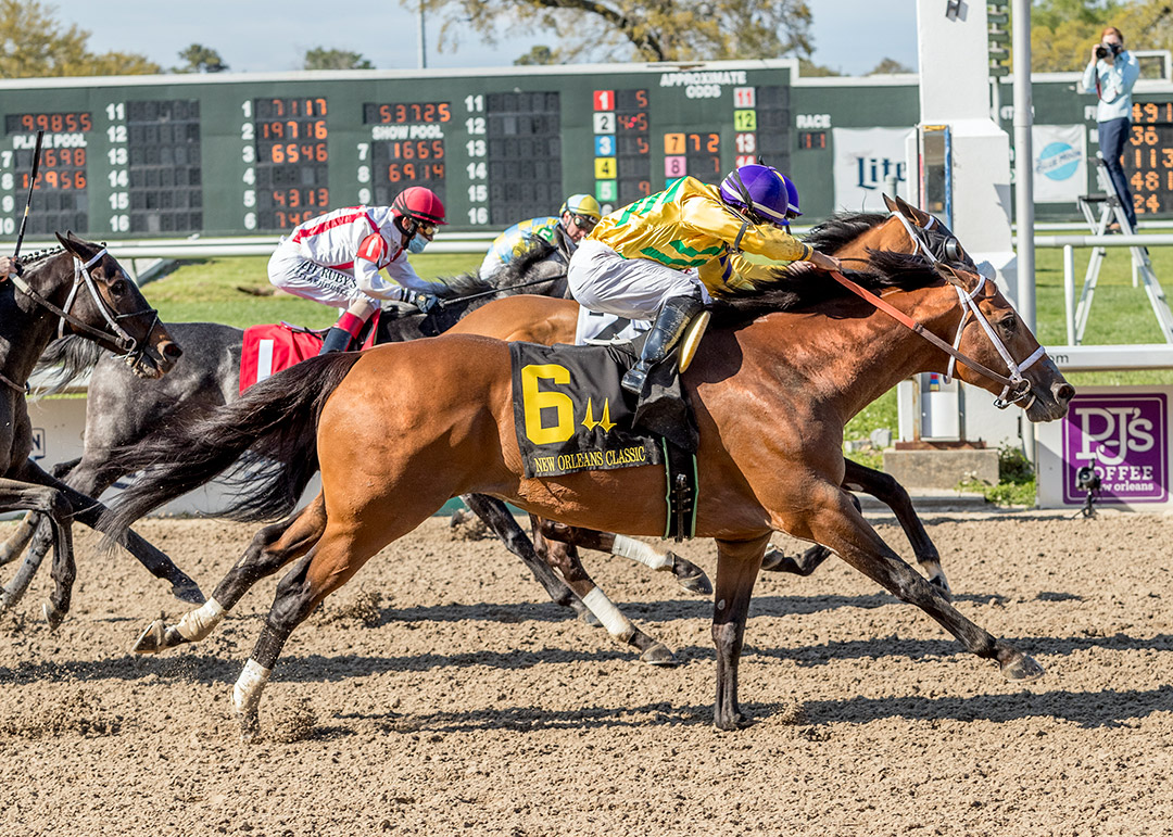 Chess Chief (6) wins the 2021 New Orleans Classic at Fair Grounds