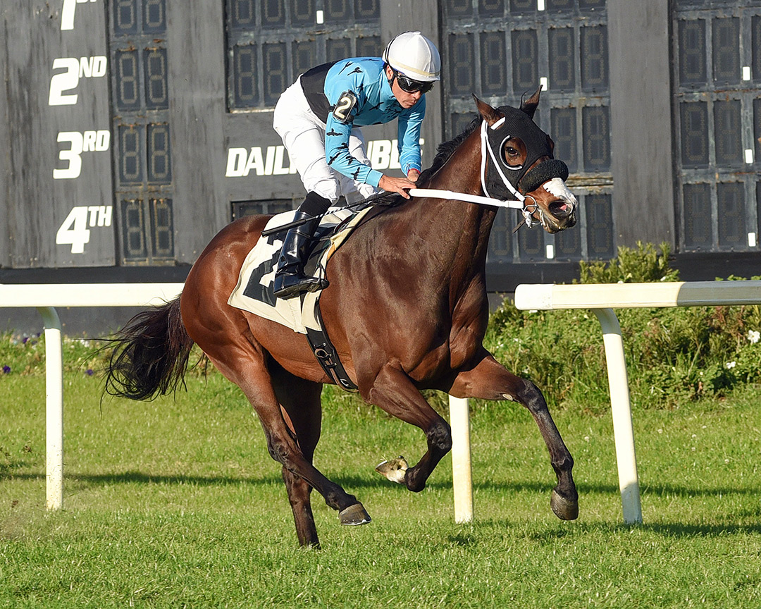 Chess Master wins the 2022 Turf Dash at Tampa Bay Downs