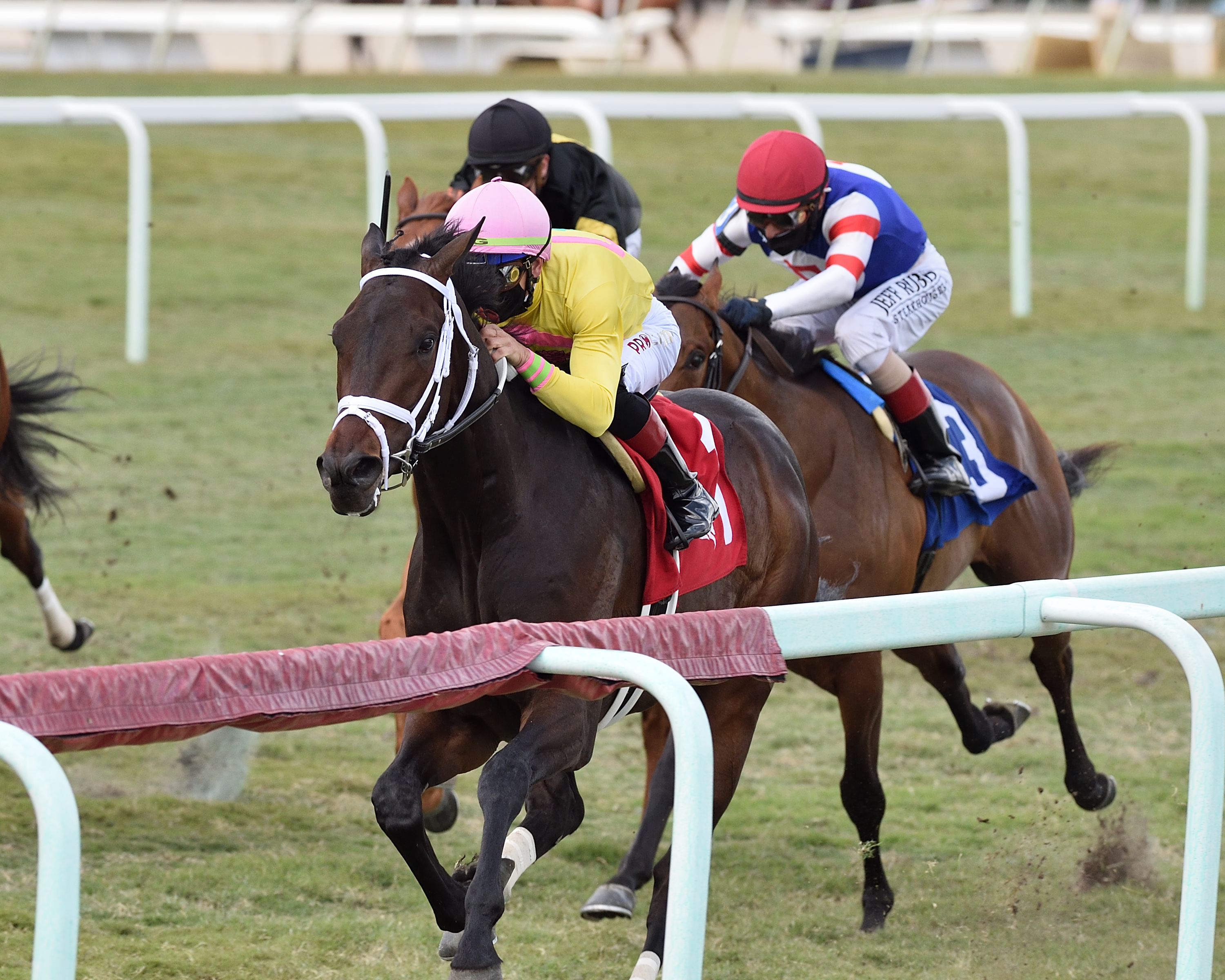 Chess's Dream wins Kitten's Joy 1-30-2021