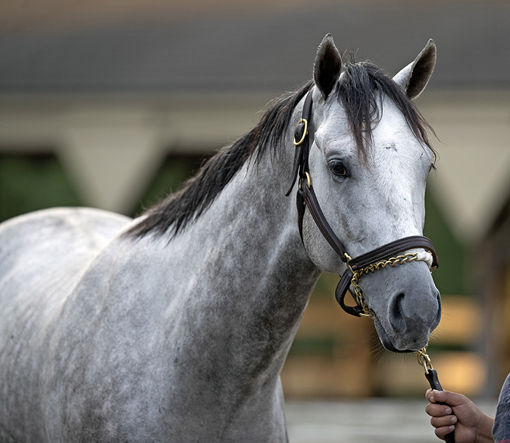 Chestertown on Aug. 14 at Saratoga Race Course