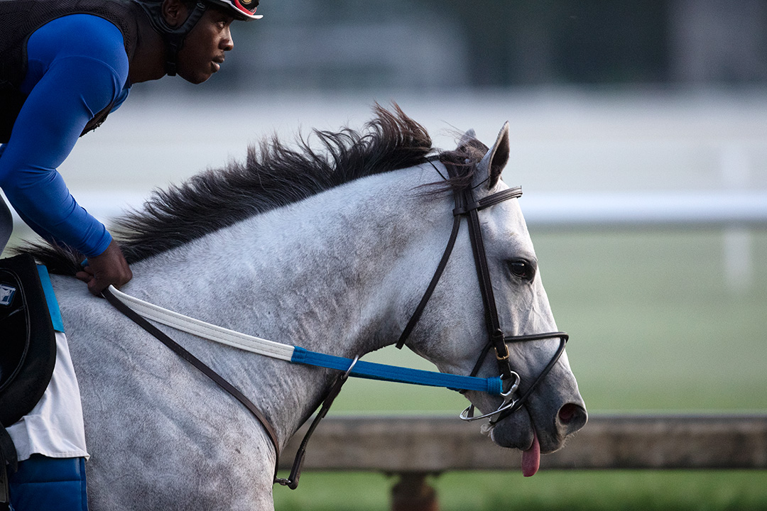 Chestertown trains at Saratoga Race Course on July 25