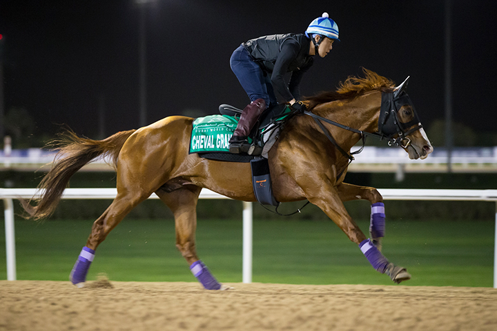 Cheval Grand trains at Meydan Racecourse on March 24