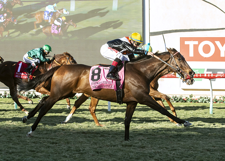 Chicago Style wins the 2018 Hollywood Turf Cup