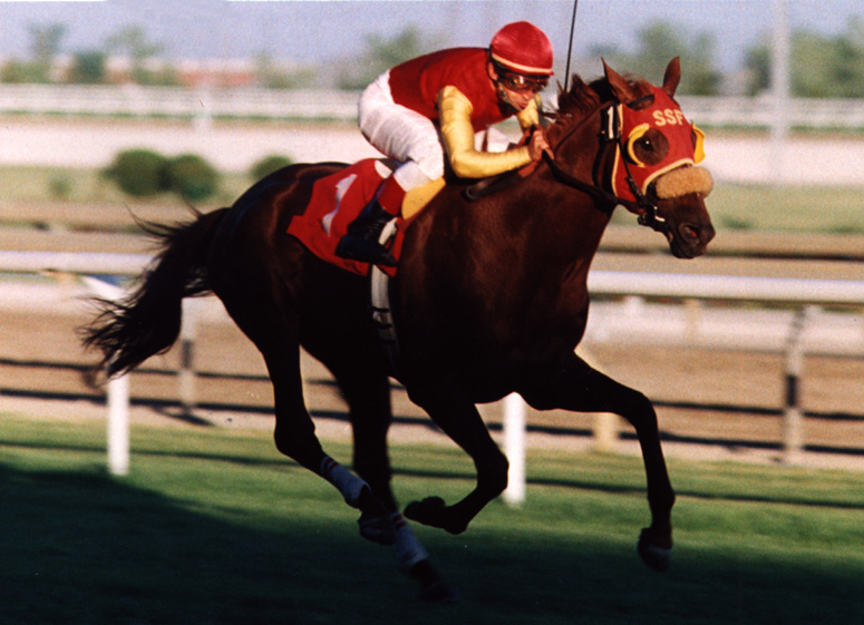 Chief Bearhart/King Edward Stakes