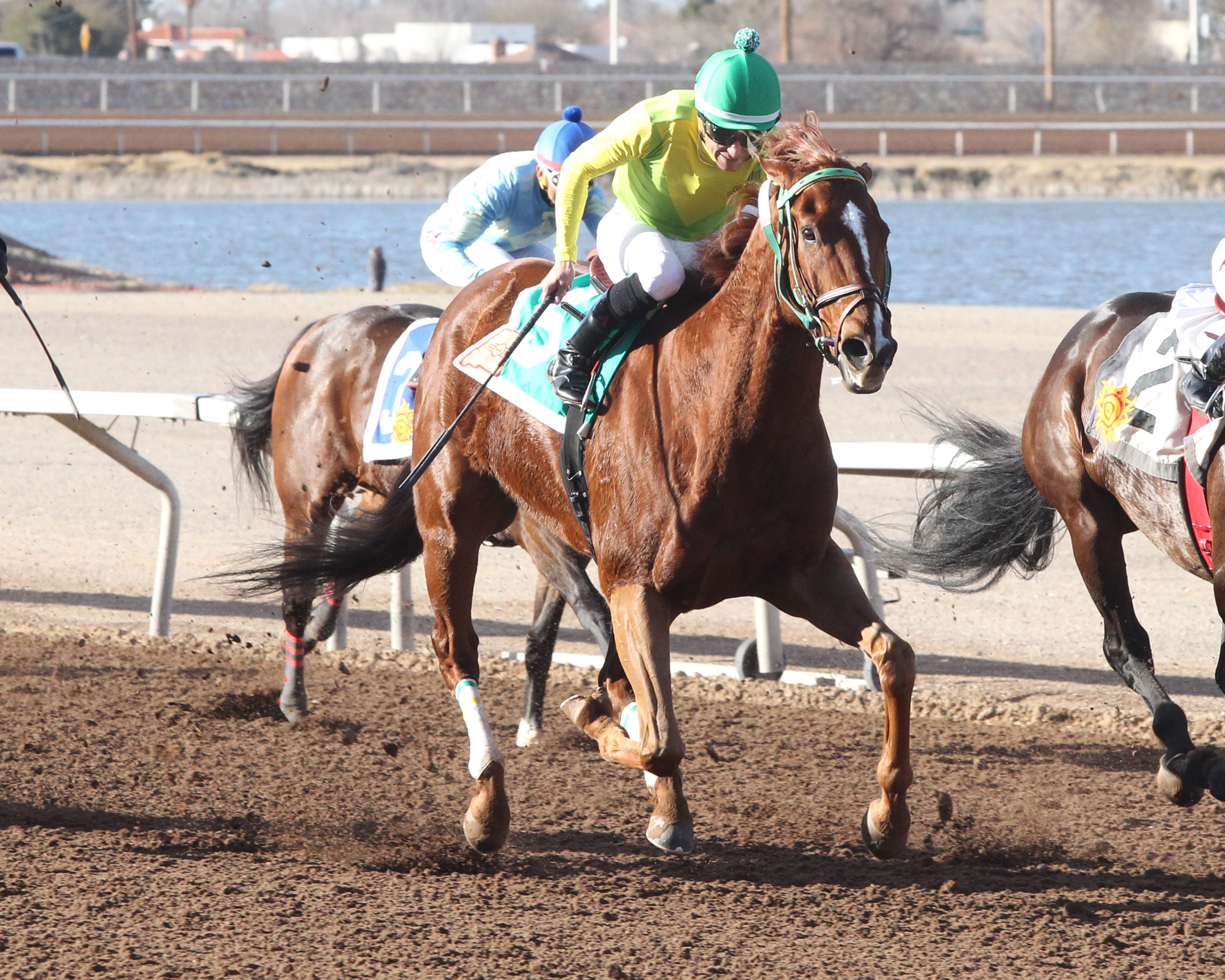 Chief Cicatriz wins the Ft Bliss Stakes.01-25-20