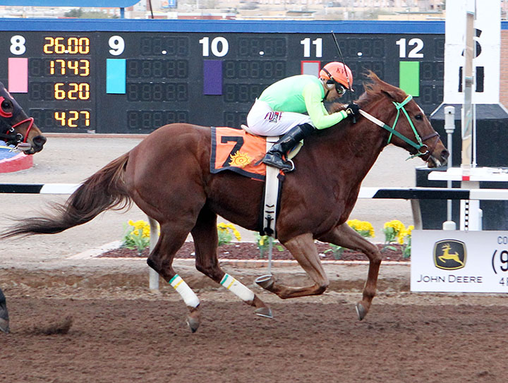 Chief Cicatriz wins the 2019 KLAQ Handicap at Sunland Park