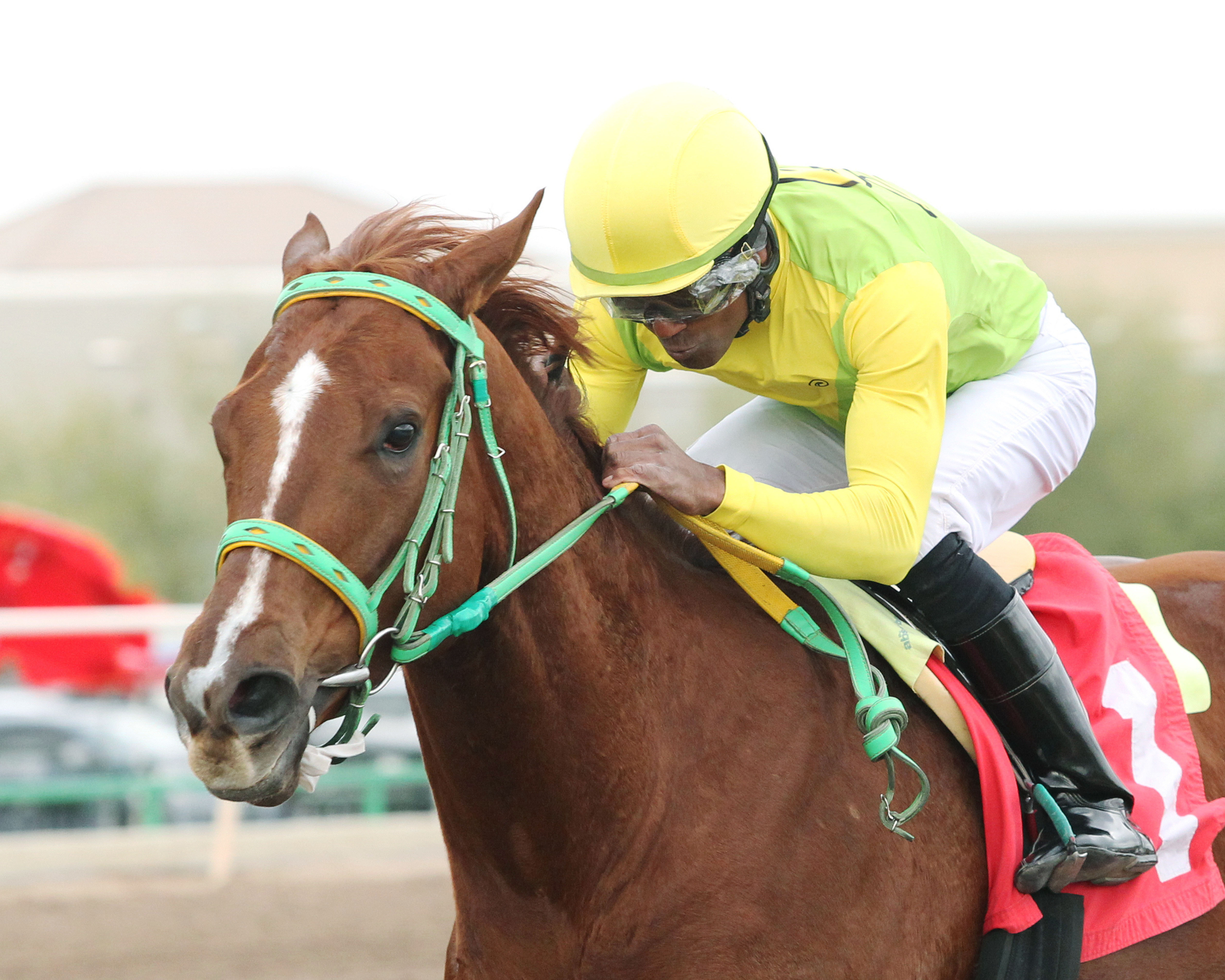Chief Cicatriz wins the 2018 Hank Mills Sr