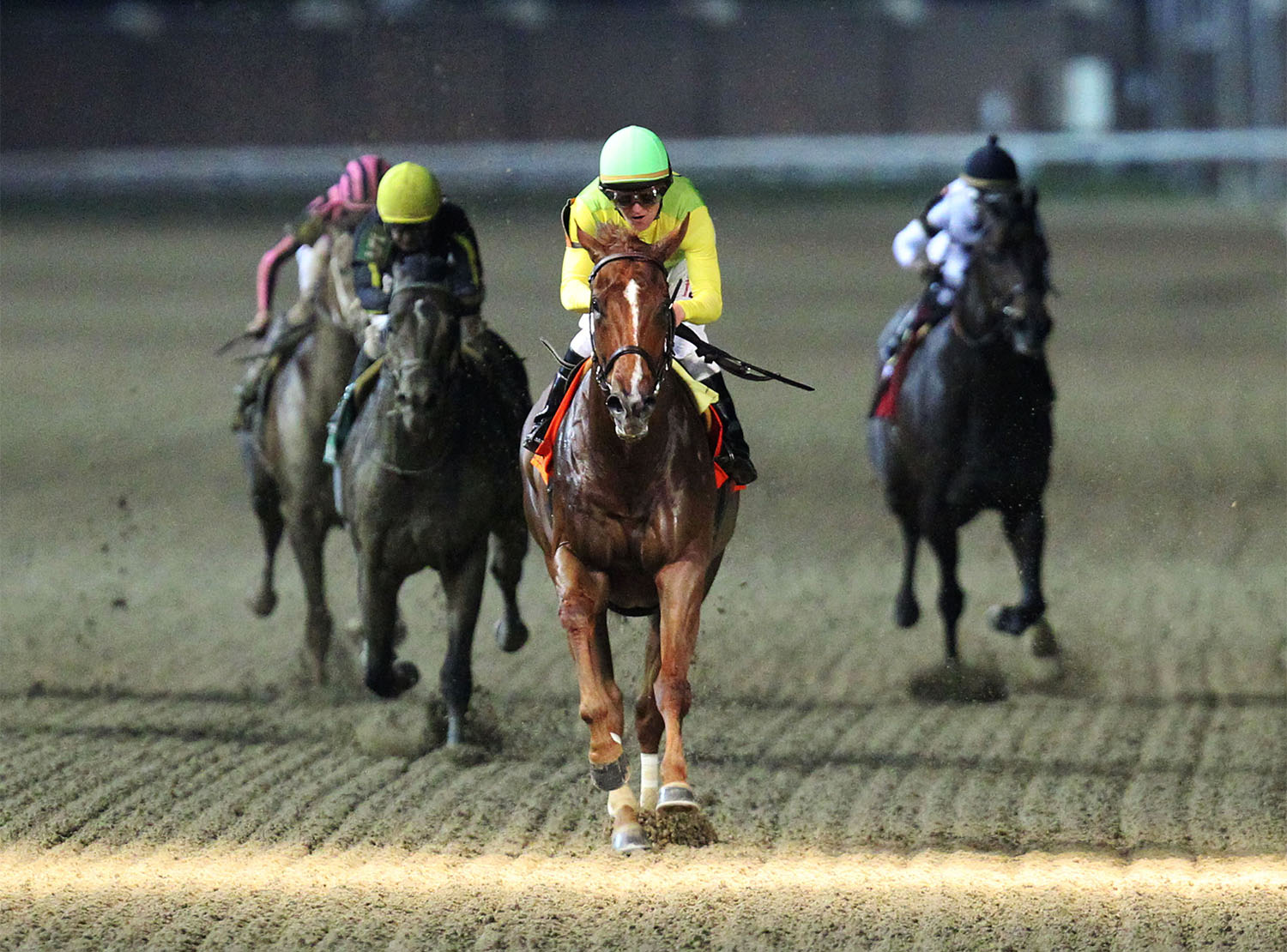 Chief Cicatriz wins the 2018 Aristides