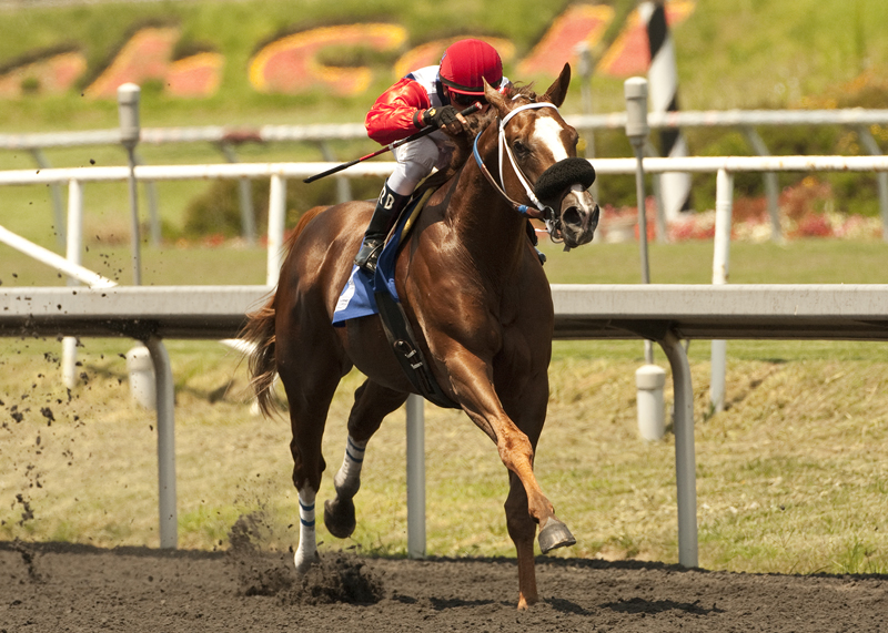 Chief Havoc wins the Swaps Stakes