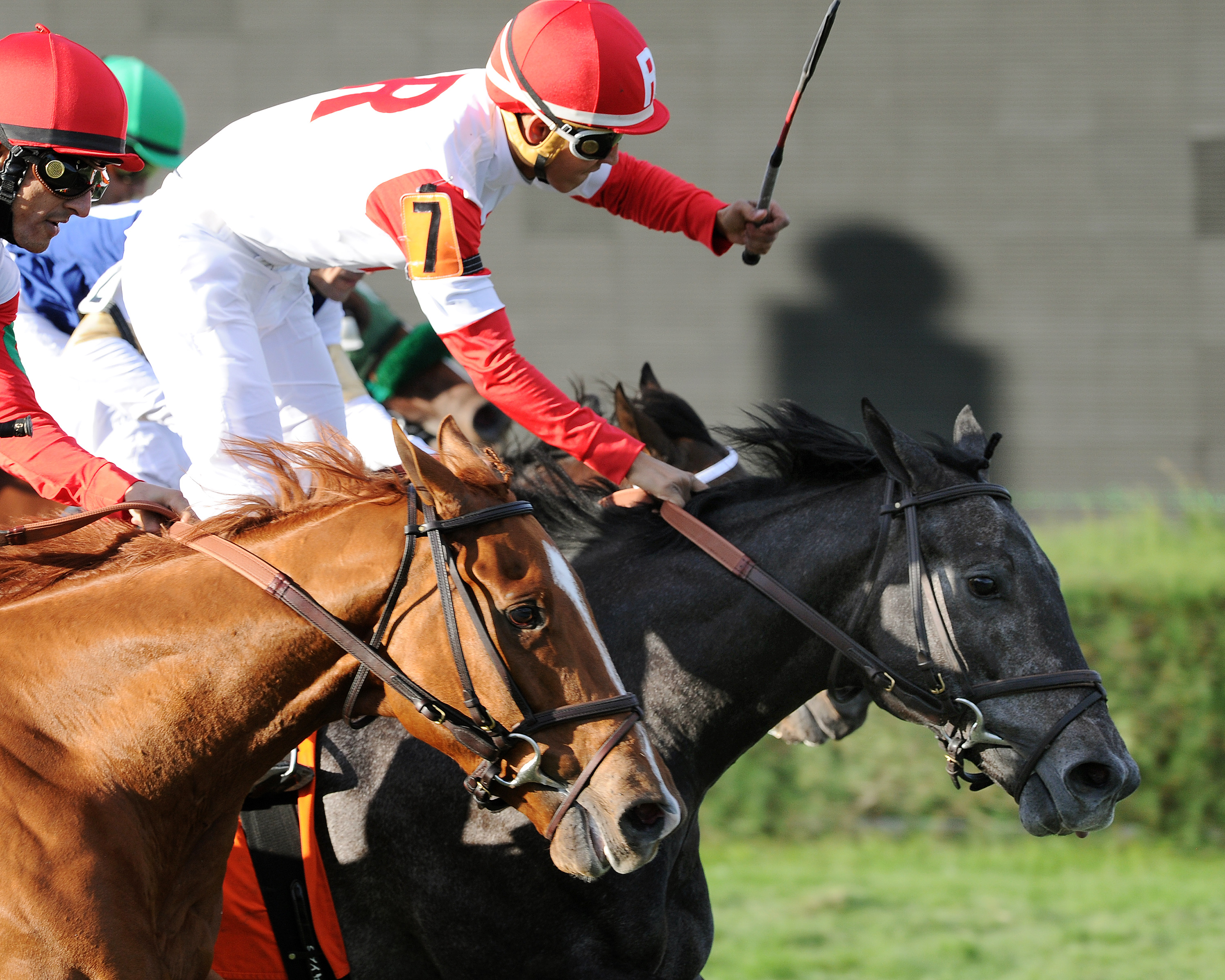 Chief Kitten wins the 2014 Pulpit Stakes