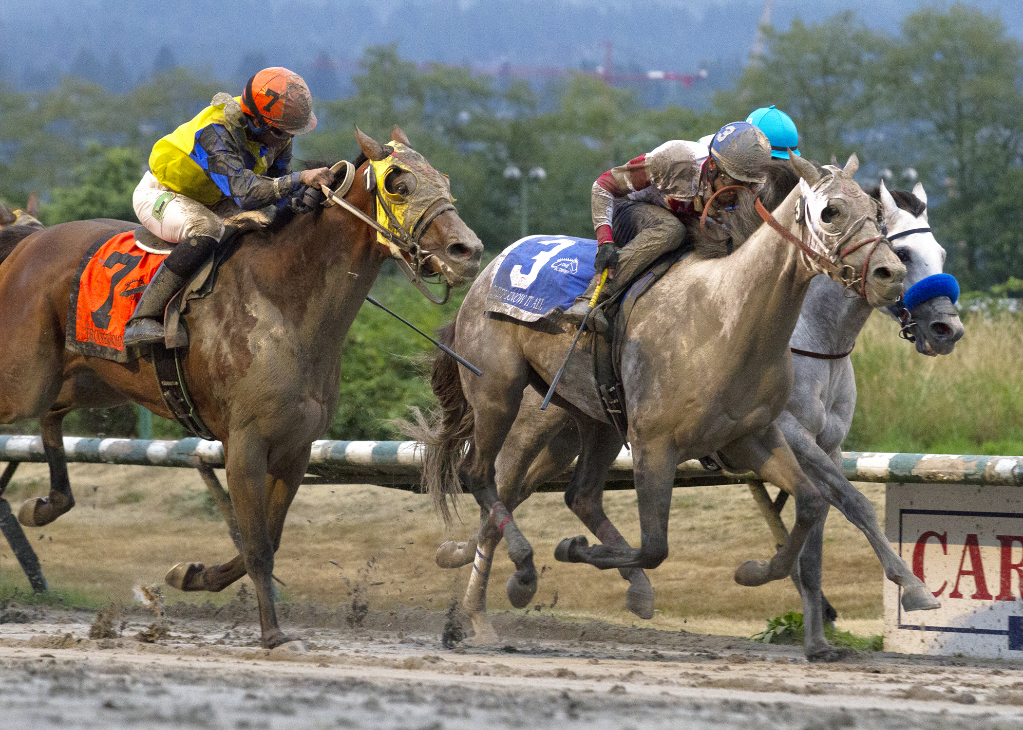 Chief Know It All wins the 2017 British Columbia Derby