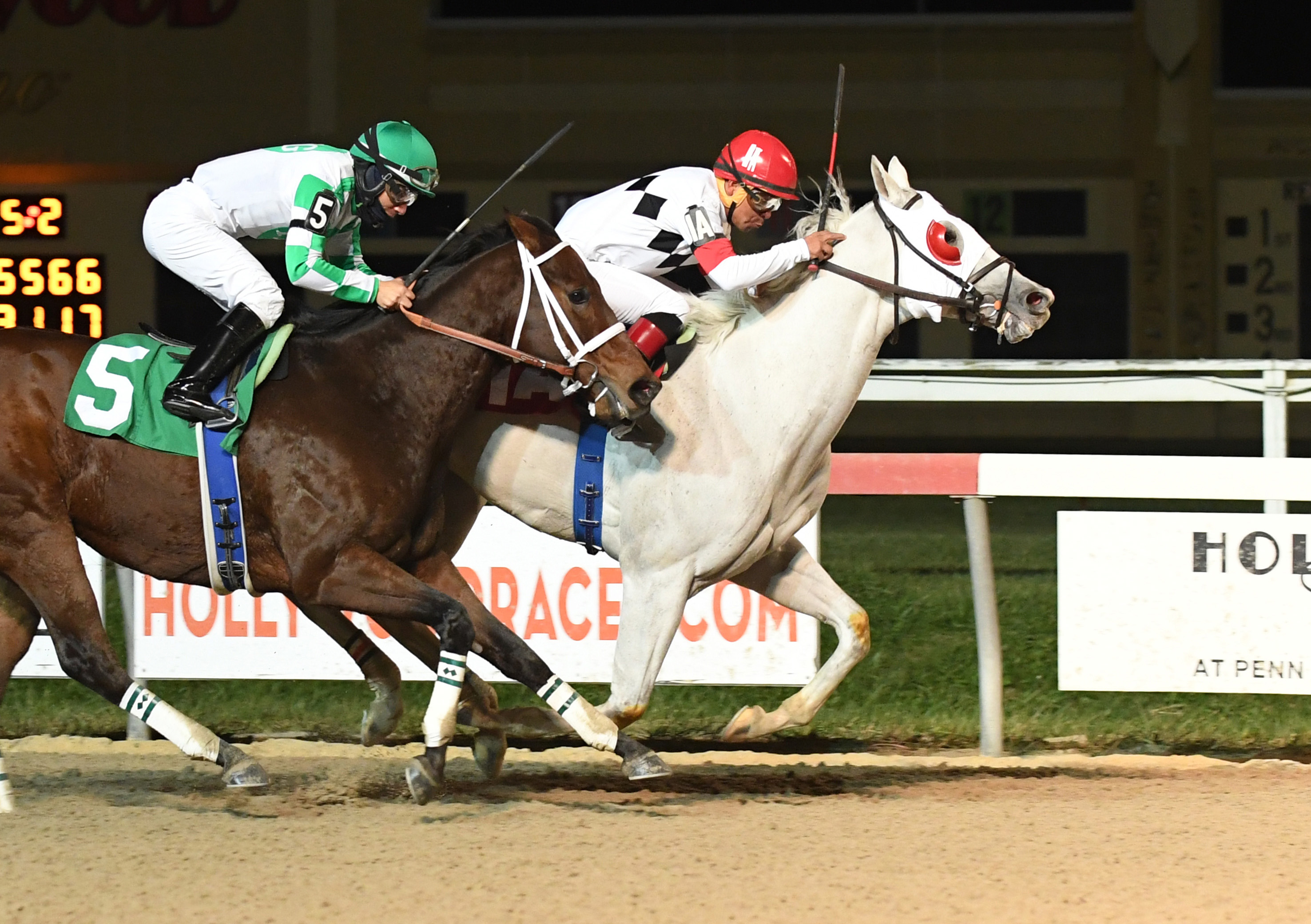 Chief Lion wins the 2017 Fabulous Strike Stakes