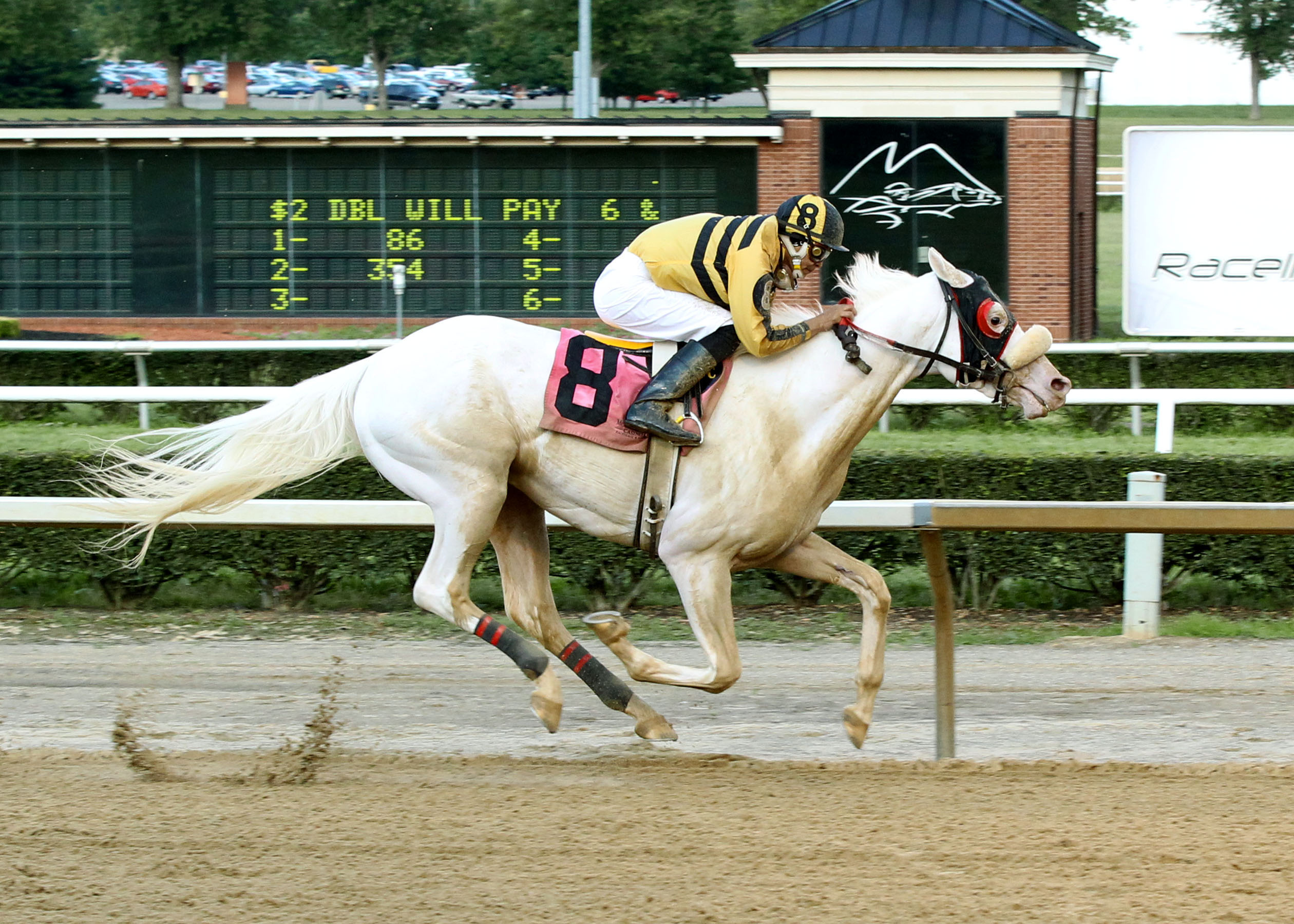 Chief White Fox, maiden win