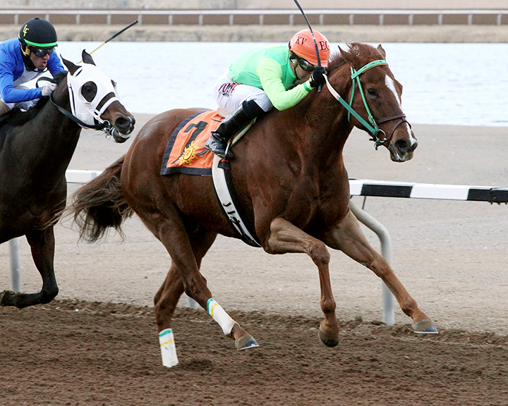 Chief Cicatriz wins the 2019 KLAQ Handicap at Sunland Park